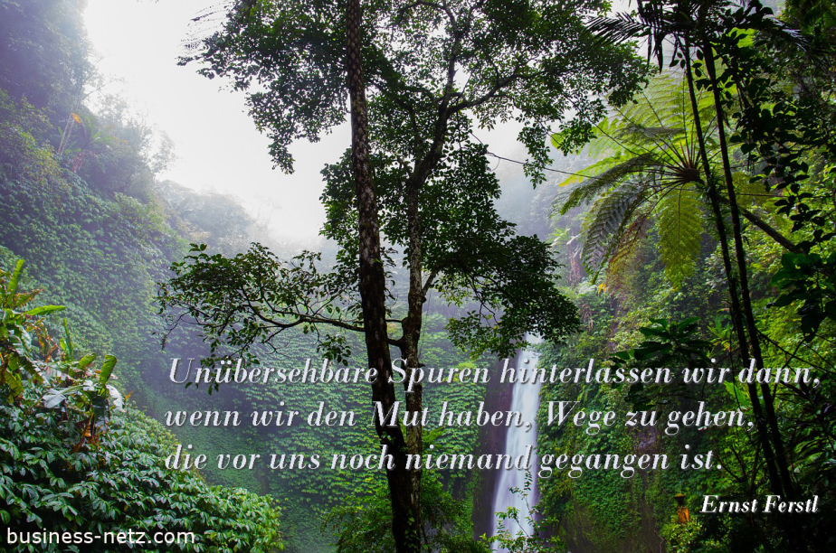 Unübersehbare Spuren hinterlassen wir dann, wenn wir den Mut haben, Wege zu gehen, die vor uns noch niemand gegangen ist auf www.business-netz.com