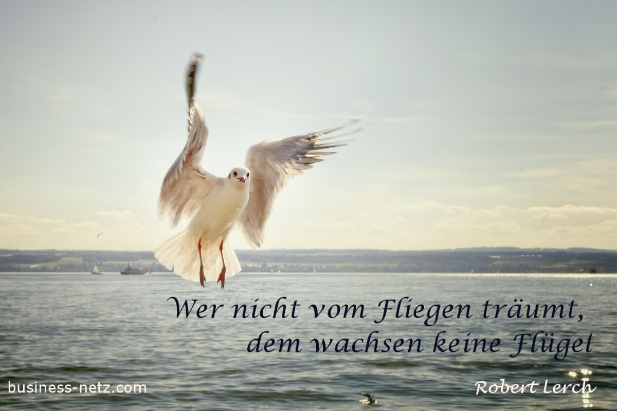 ein Vogel schwebt über dem Mehr