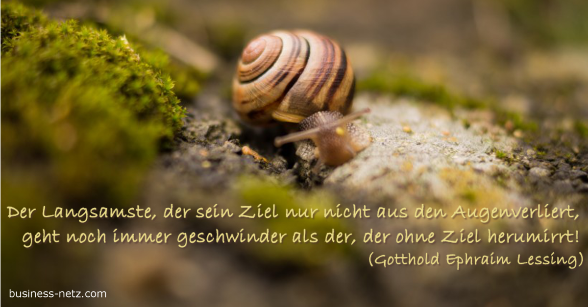 Eine Schnecke, die durchs Moos schleicht