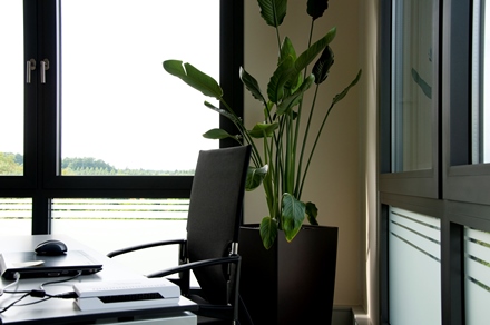 Home Office Gestaltung nach Feng Shui