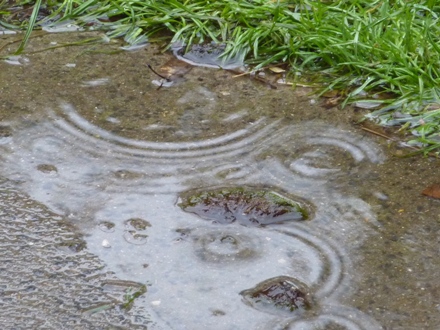 Wetterfühligkeit beachten mit www.business-netz.com