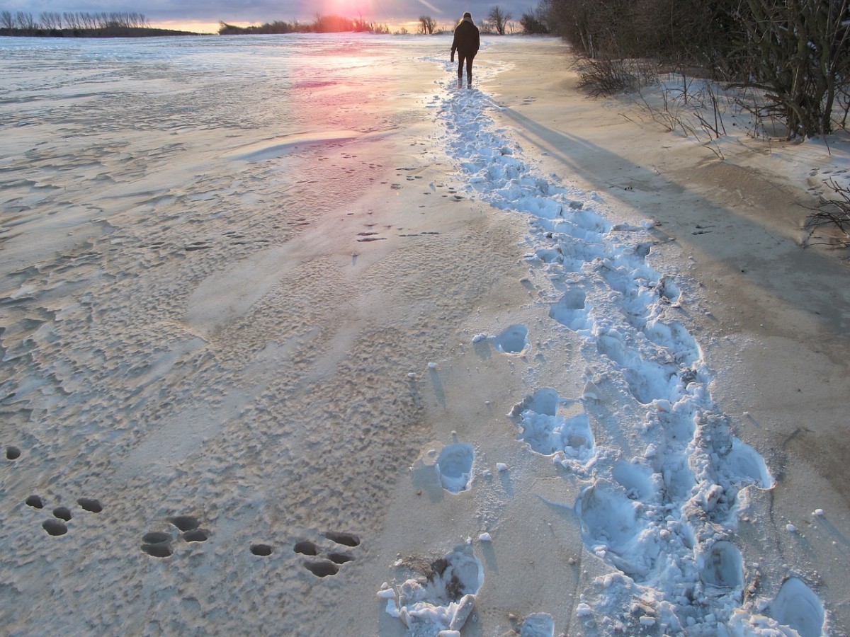 Spuren im Schnee