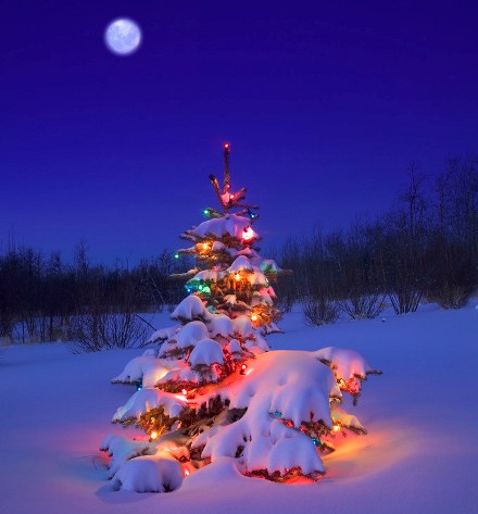 Quiz: Weihnachtsbrauchtum aus aller Welt - Wie gut kennen Sie sich aus