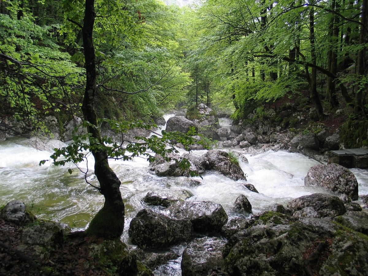 Wildwasser